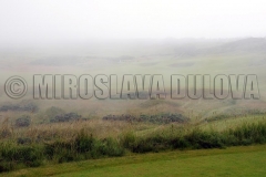 Kingsbarns